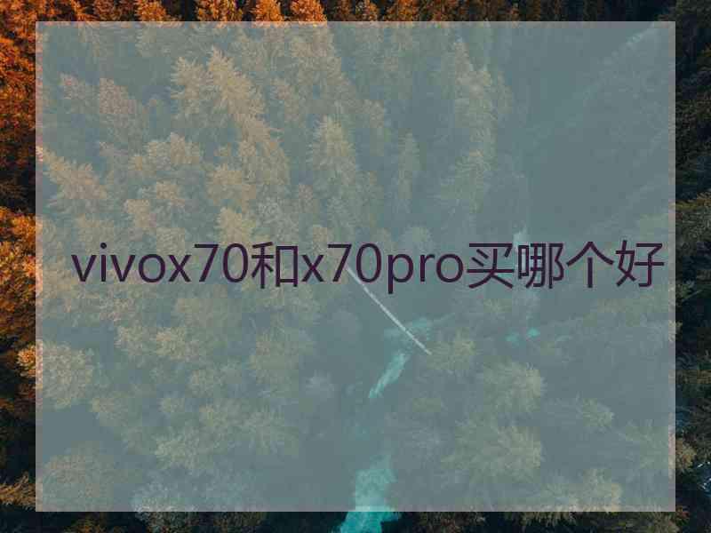 vivox70和x70pro买哪个好