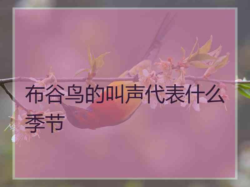 布谷鸟的叫声代表什么季节