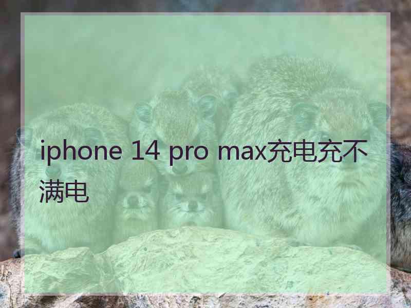 iphone 14 pro max充电充不满电