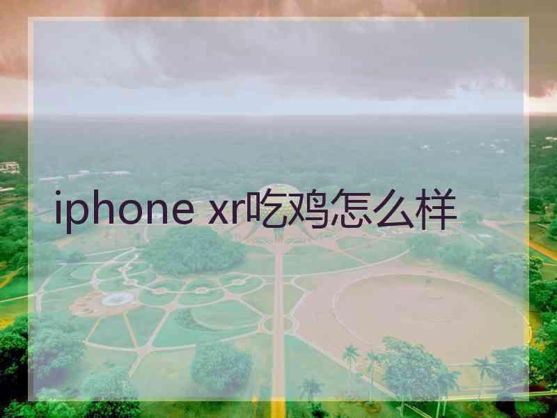 iphone xr吃鸡怎么样