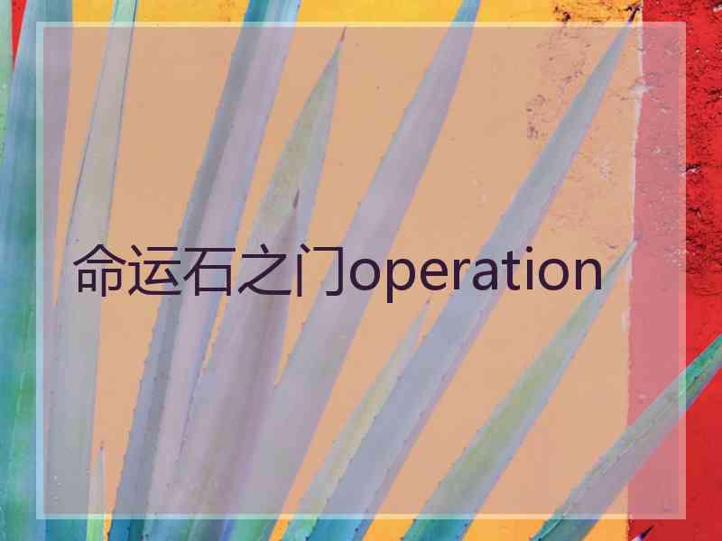 命运石之门operation