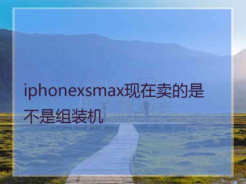 iphonexsmax现在卖的是不是组装机