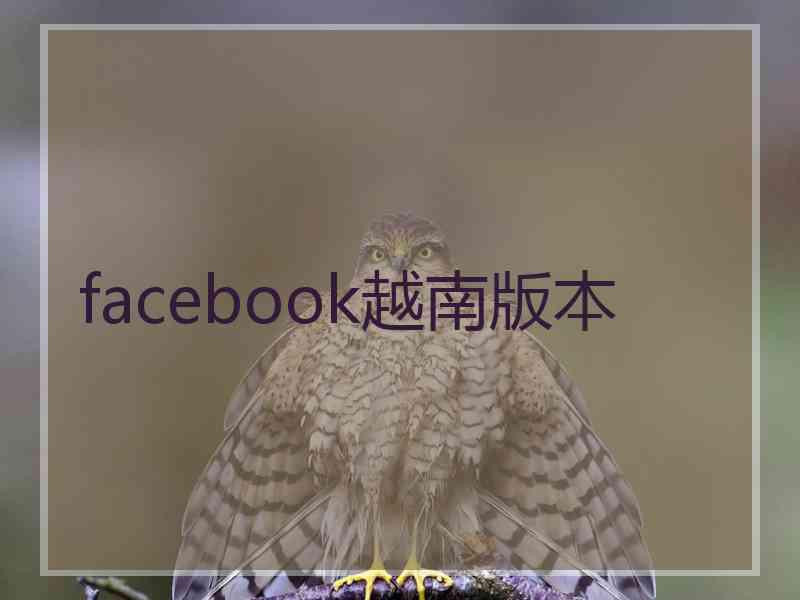 facebook越南版本