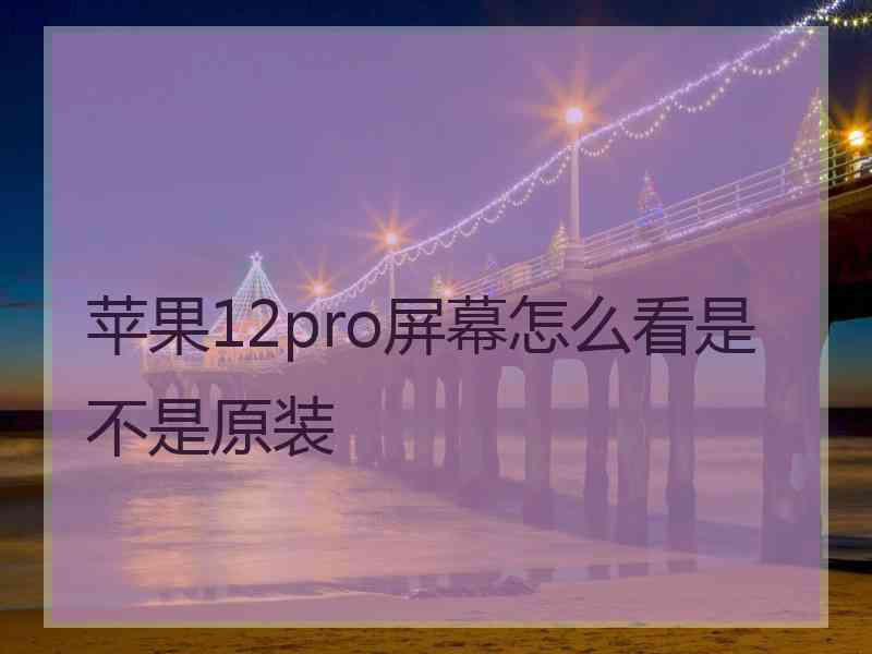 苹果12pro屏幕怎么看是不是原装