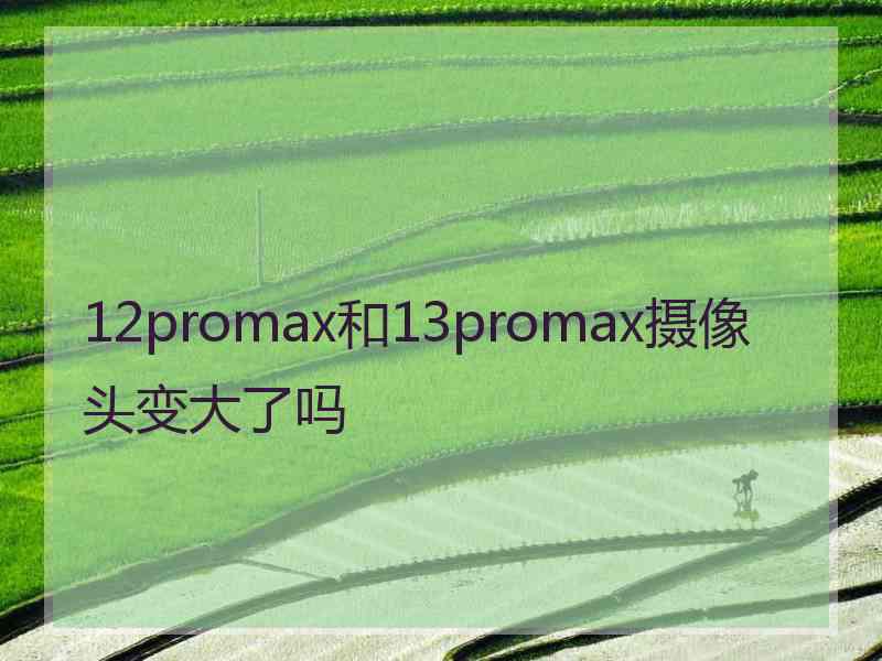 12promax和13promax摄像头变大了吗