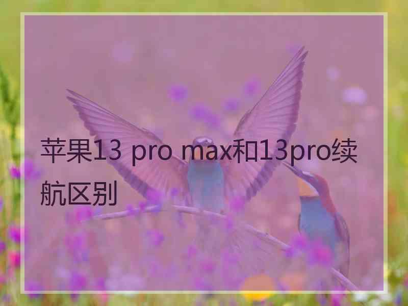 苹果13 pro max和13pro续航区别