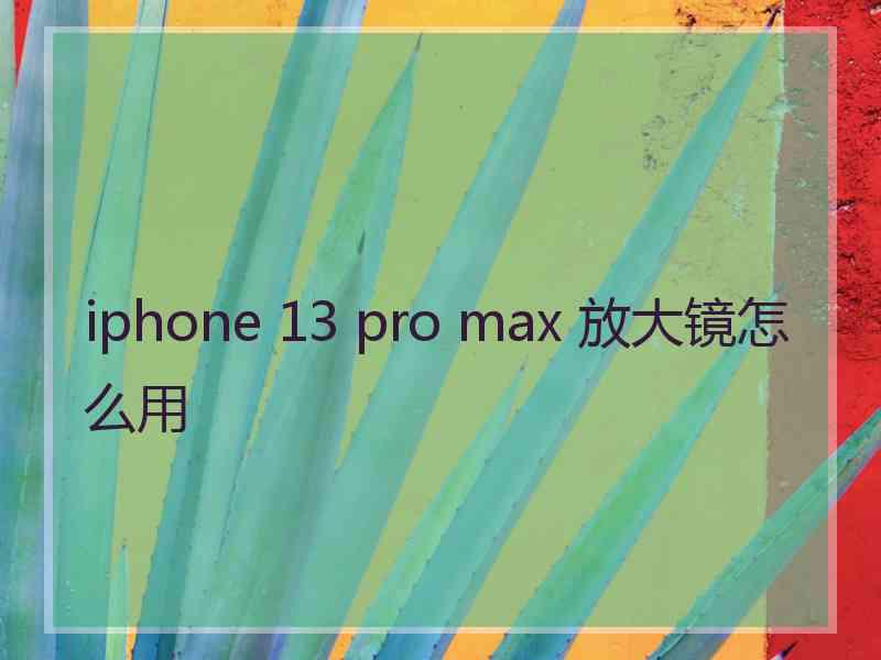 iphone 13 pro max 放大镜怎么用