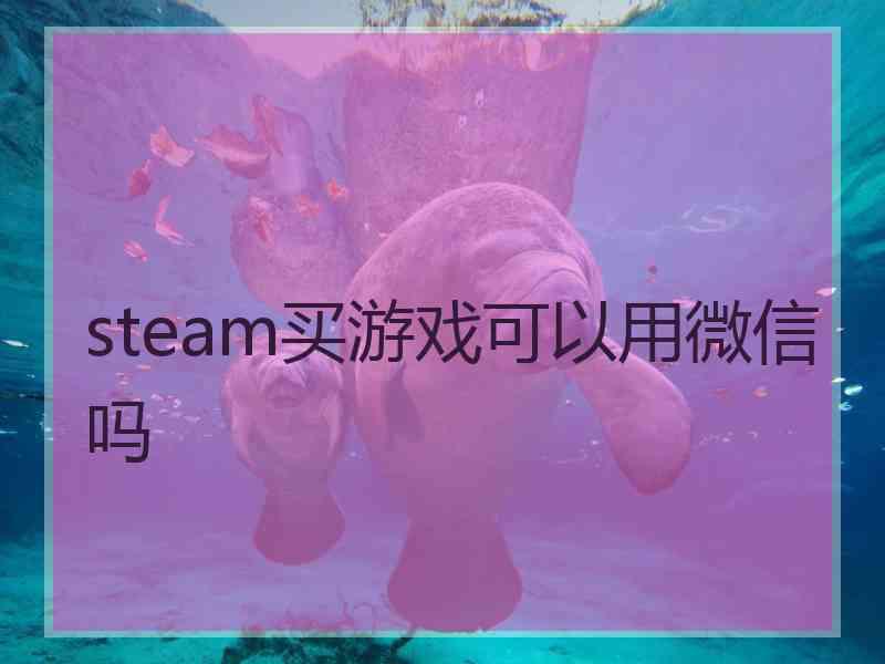 steam买游戏可以用微信吗