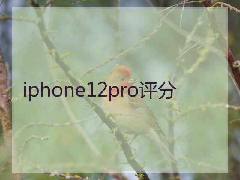 iphone12pro评分