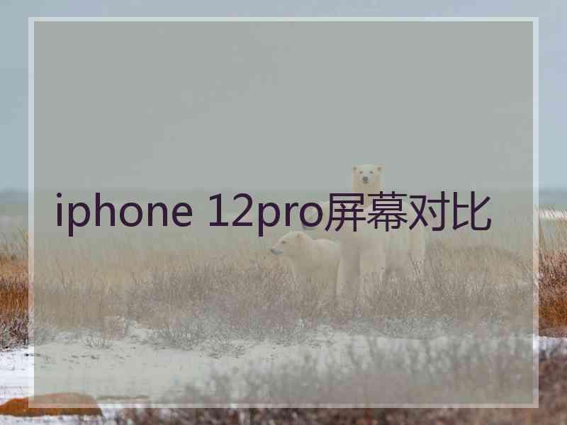 iphone 12pro屏幕对比