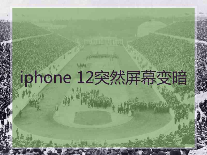 iphone 12突然屏幕变暗