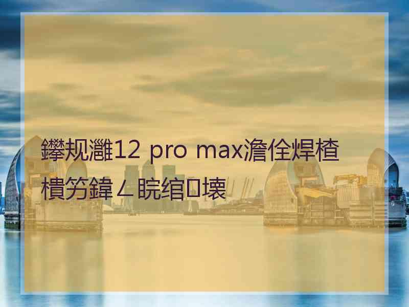 鑻规灉12 pro max澹佺焊楂樻竻鍏ㄥ睆绾壊