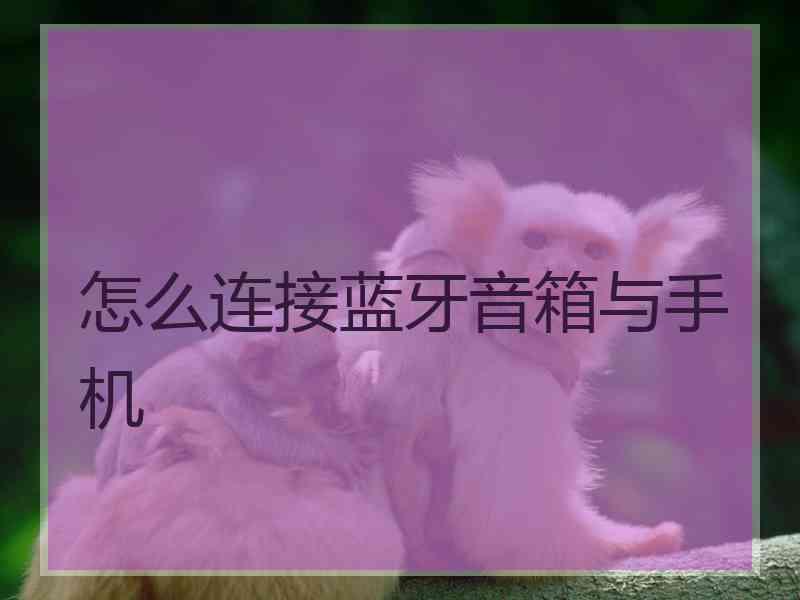 怎么连接蓝牙音箱与手机