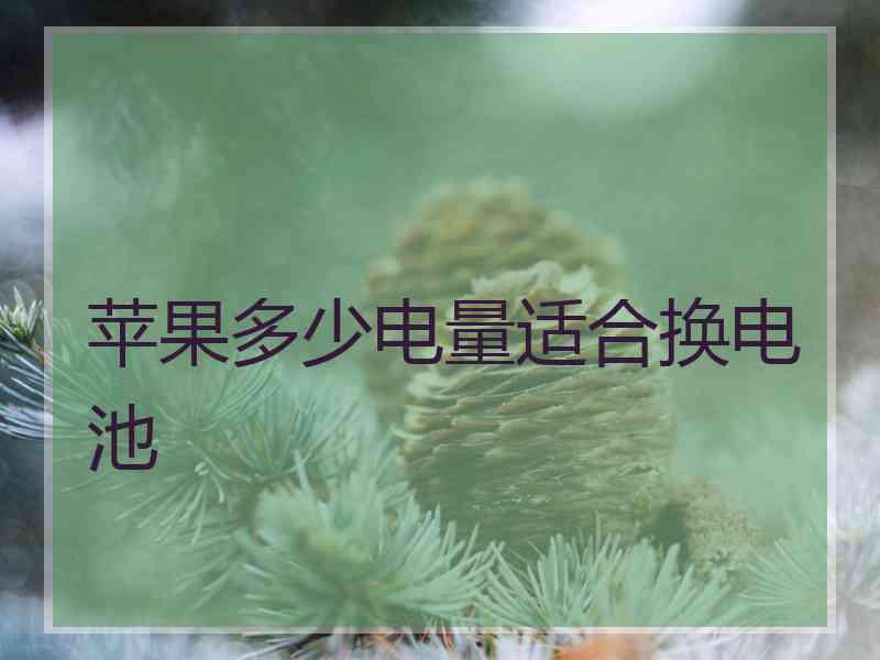 苹果多少电量适合换电池