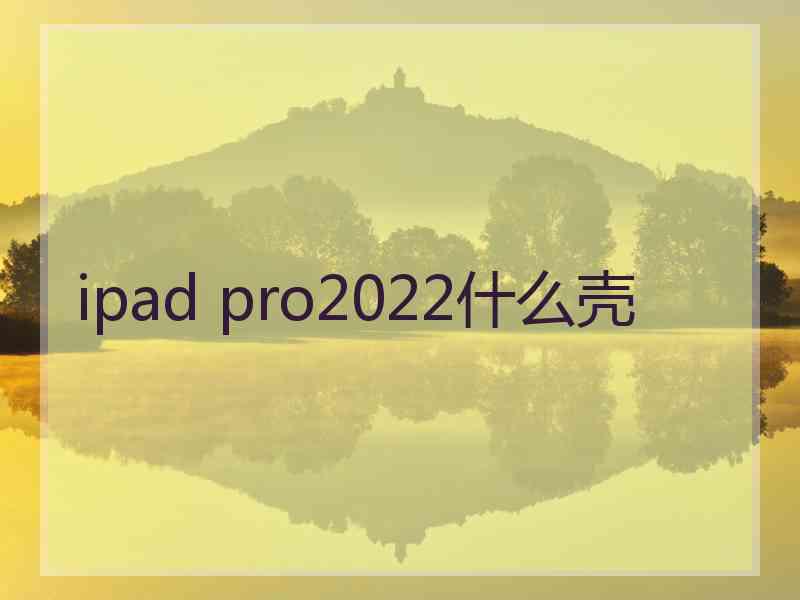 ipad pro2022什么壳