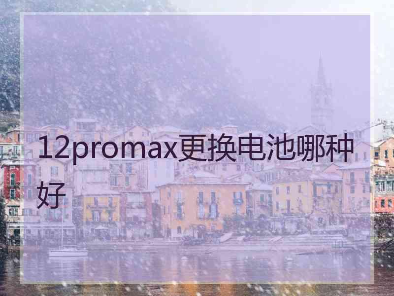 12promax更换电池哪种好