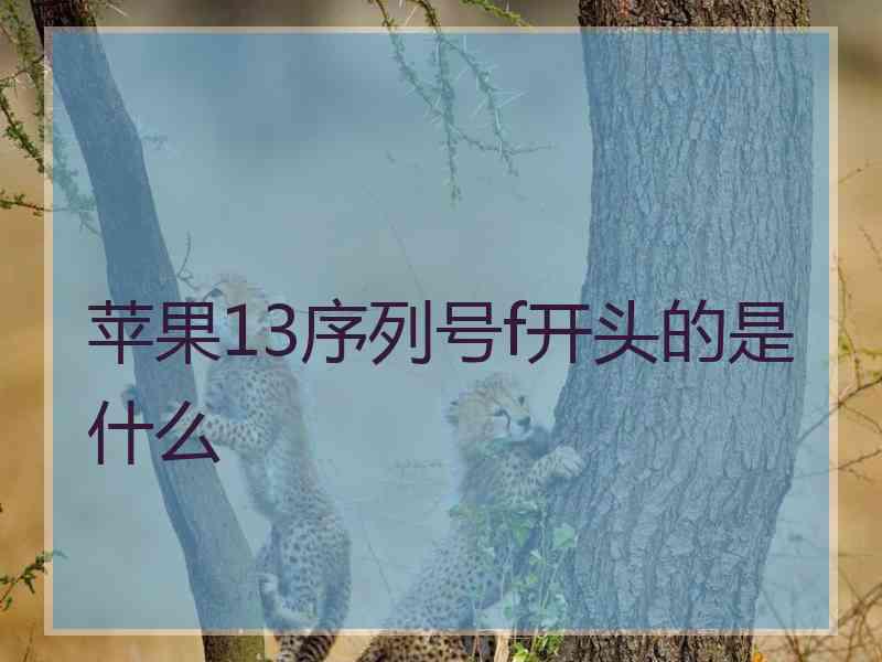 苹果13序列号f开头的是什么