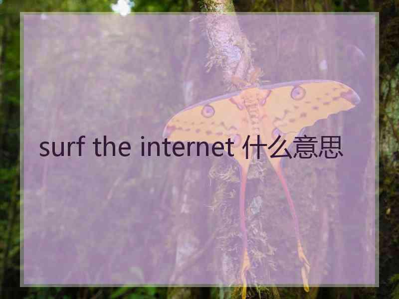 surf the internet 什么意思