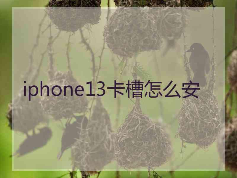 iphone13卡槽怎么安