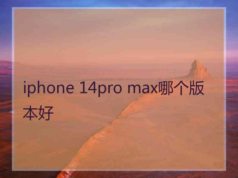 iphone 14pro max哪个版本好