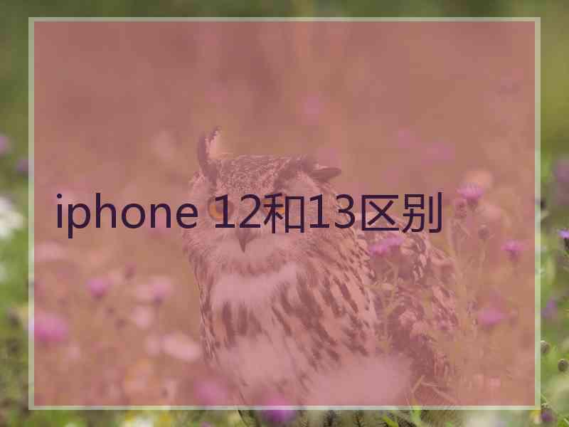 iphone 12和13区别