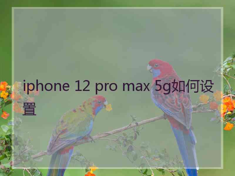 iphone 12 pro max 5g如何设置