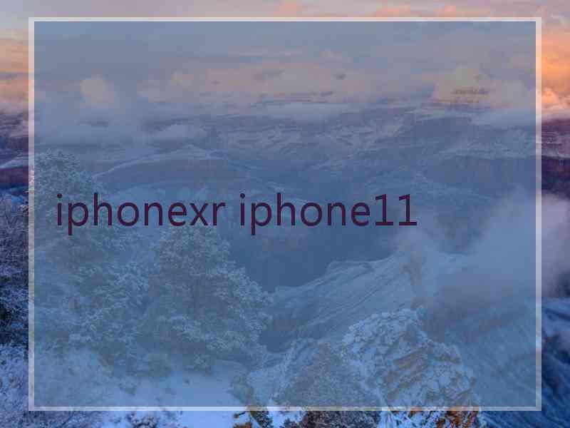 iphonexr iphone11