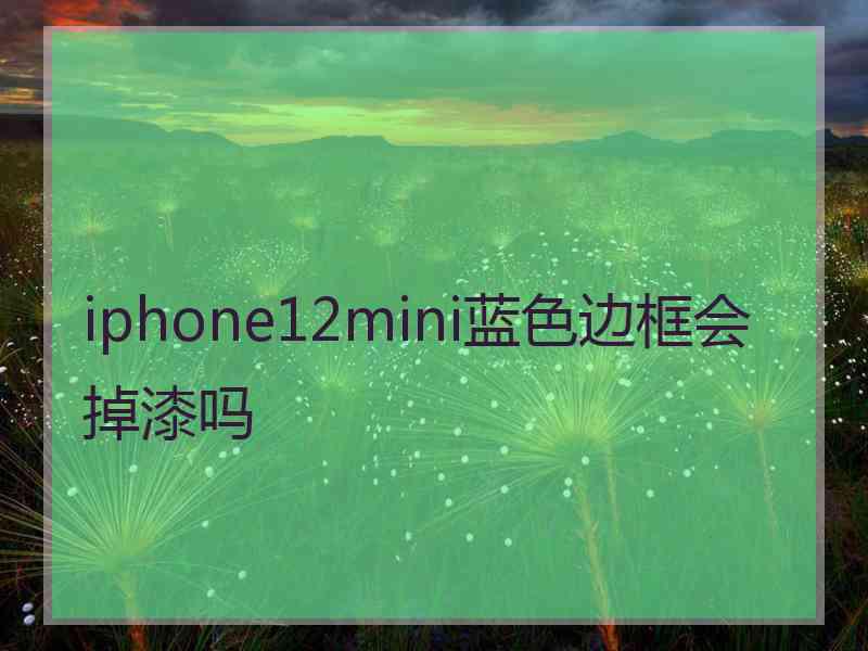 iphone12mini蓝色边框会掉漆吗