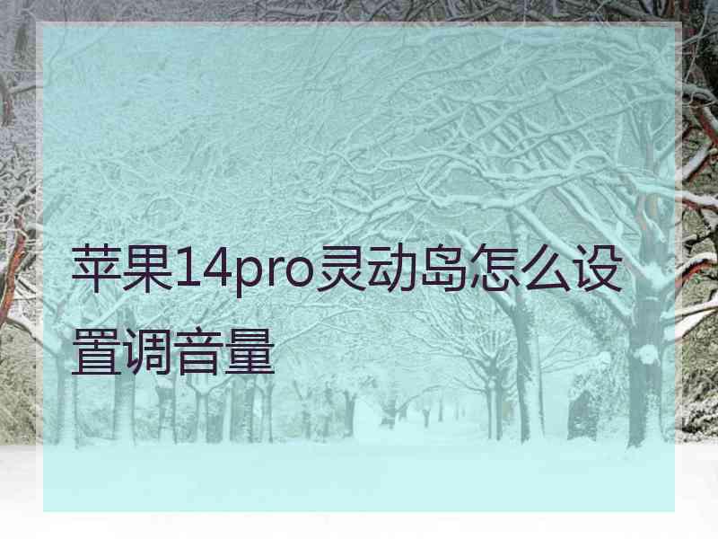 苹果14pro灵动岛怎么设置调音量