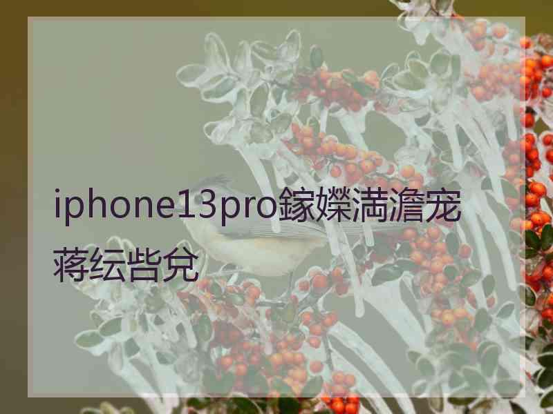 iphone13pro鎵嬫満澹宠蒋纭呰兌