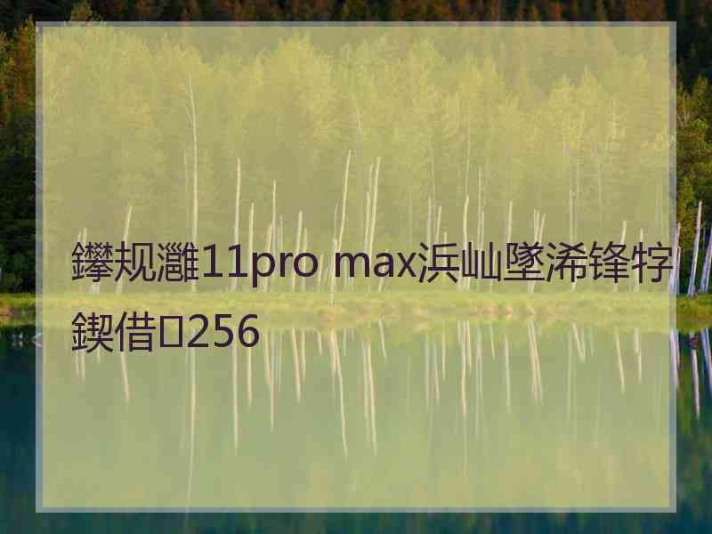 鑻规灉11pro max浜屾墜浠锋牸鍥借256