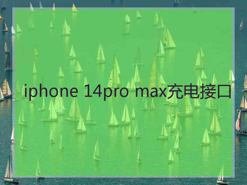 iphone 14pro max充电接口