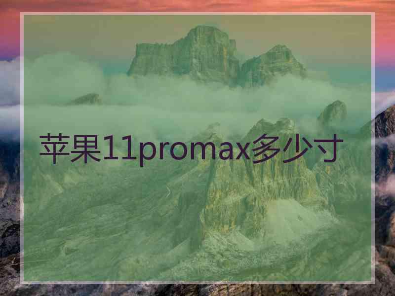 苹果11promax多少寸