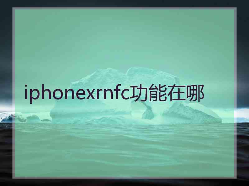 iphonexrnfc功能在哪