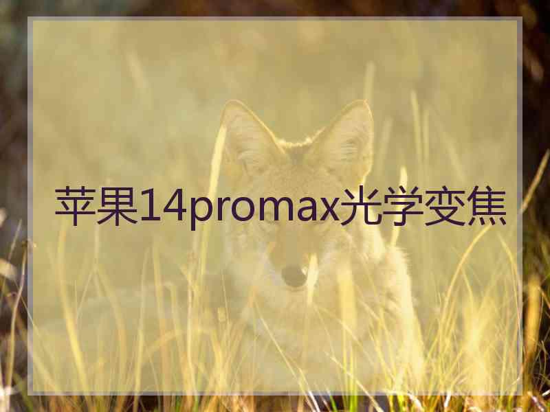 苹果14promax光学变焦