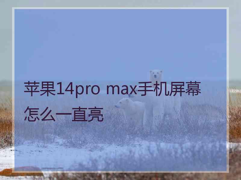 苹果14pro max手机屏幕怎么一直亮