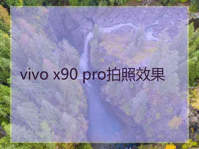 vivo x90 pro拍照效果