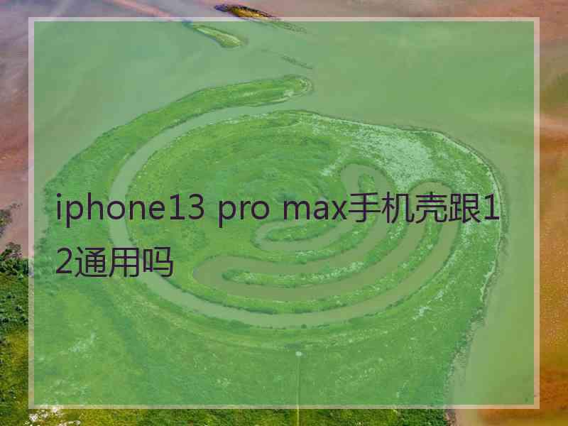 iphone13 pro max手机壳跟12通用吗