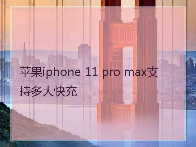 苹果iphone 11 pro max支持多大快充