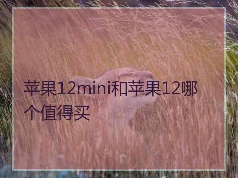 苹果12mini和苹果12哪个值得买