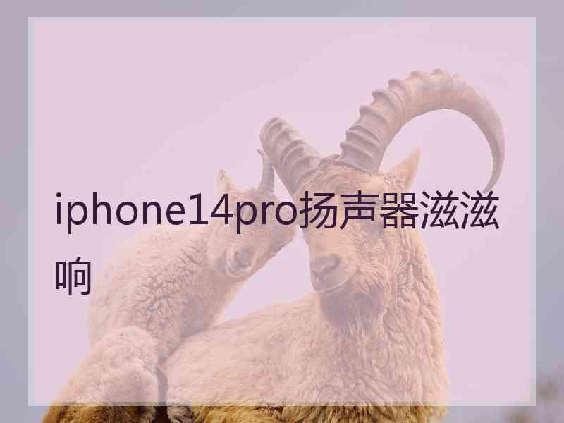 iphone14pro扬声器滋滋响