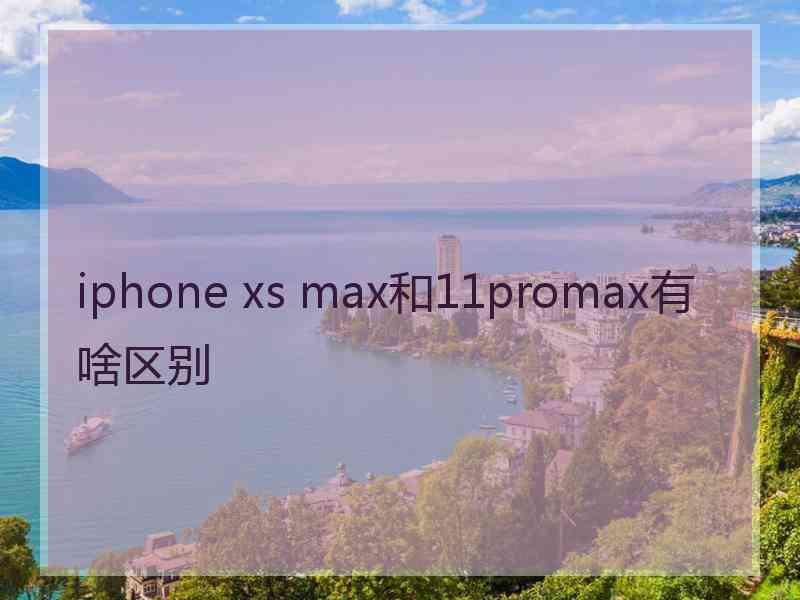 iphone xs max和11promax有啥区别