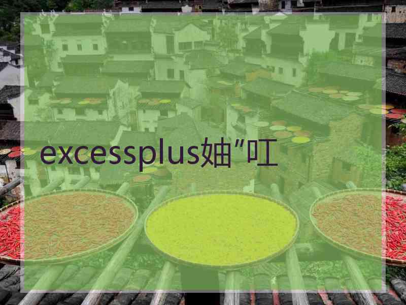 excessplus妯″叿