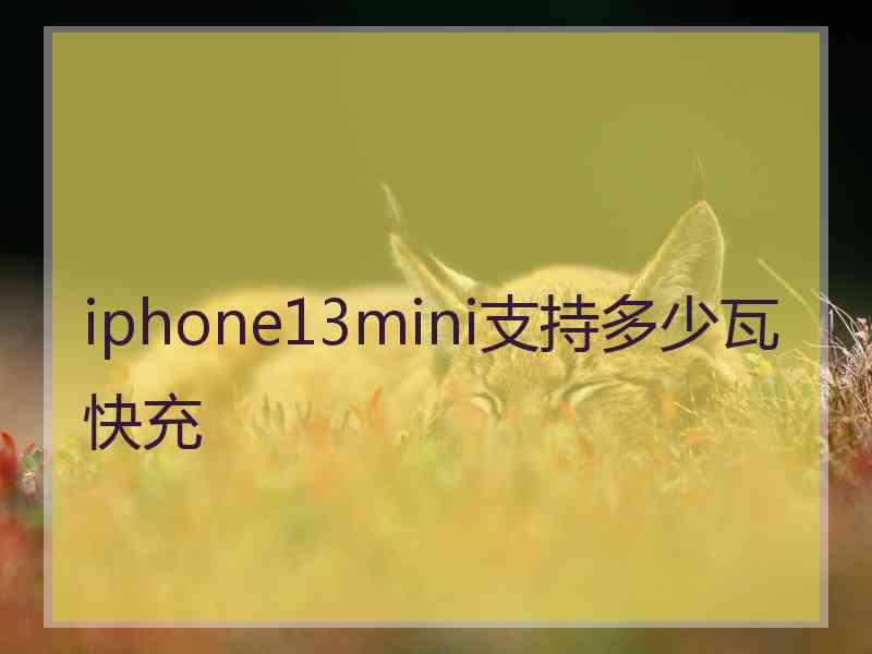 iphone13mini支持多少瓦快充