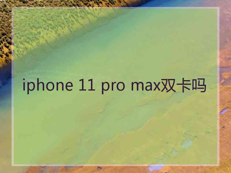 iphone 11 pro max双卡吗