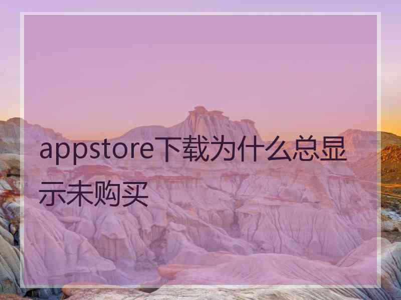 appstore下载为什么总显示未购买