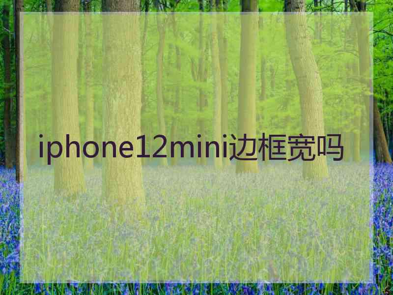 iphone12mini边框宽吗