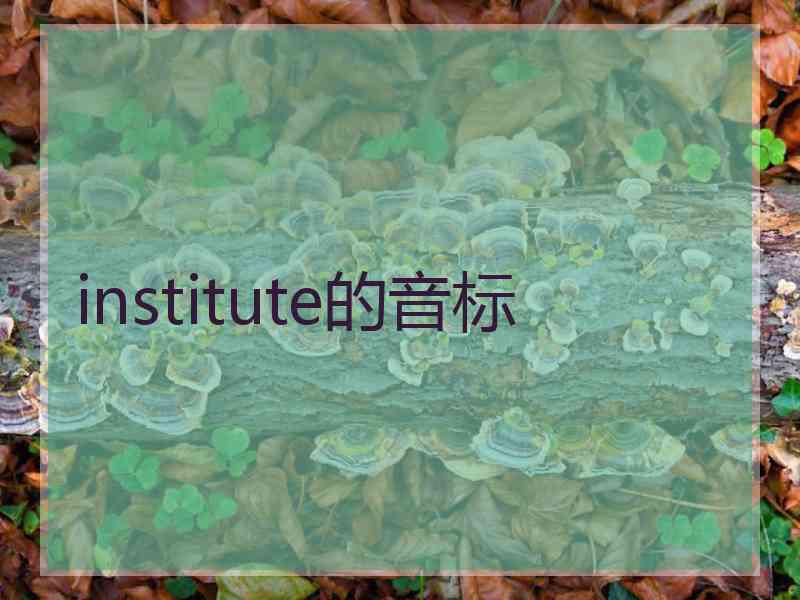 institute的音标