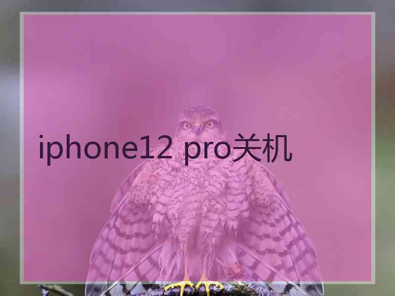 iphone12 pro关机