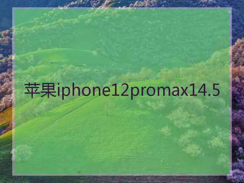 苹果iphone12promax14.5